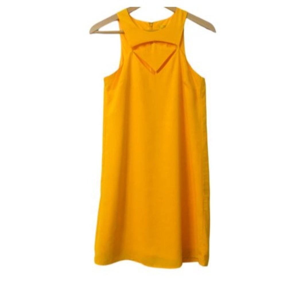 Yellow Sleeveless Gianni Bini A Line Flowy Dress